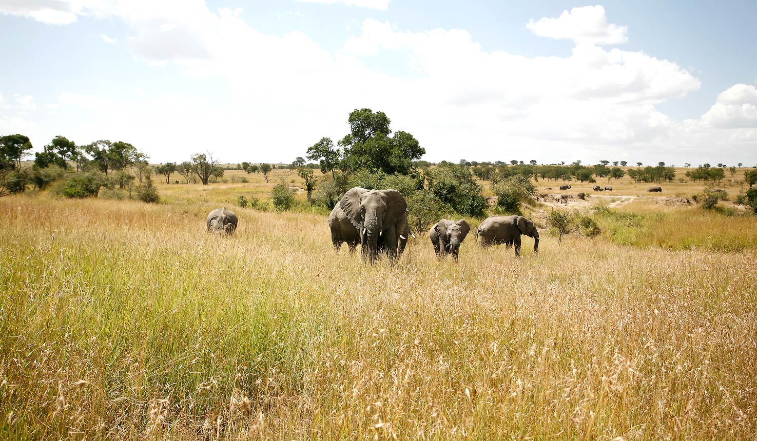 Volunteer in Tanzania